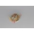L.D.5172